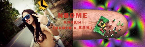 прущие грибы Слюдянка