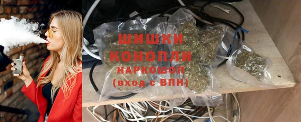 прущие грибы Слюдянка