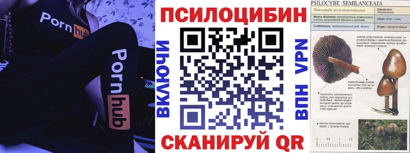 Купить закладки  Донецк  Псилоцибиновые грибы ЛСД 